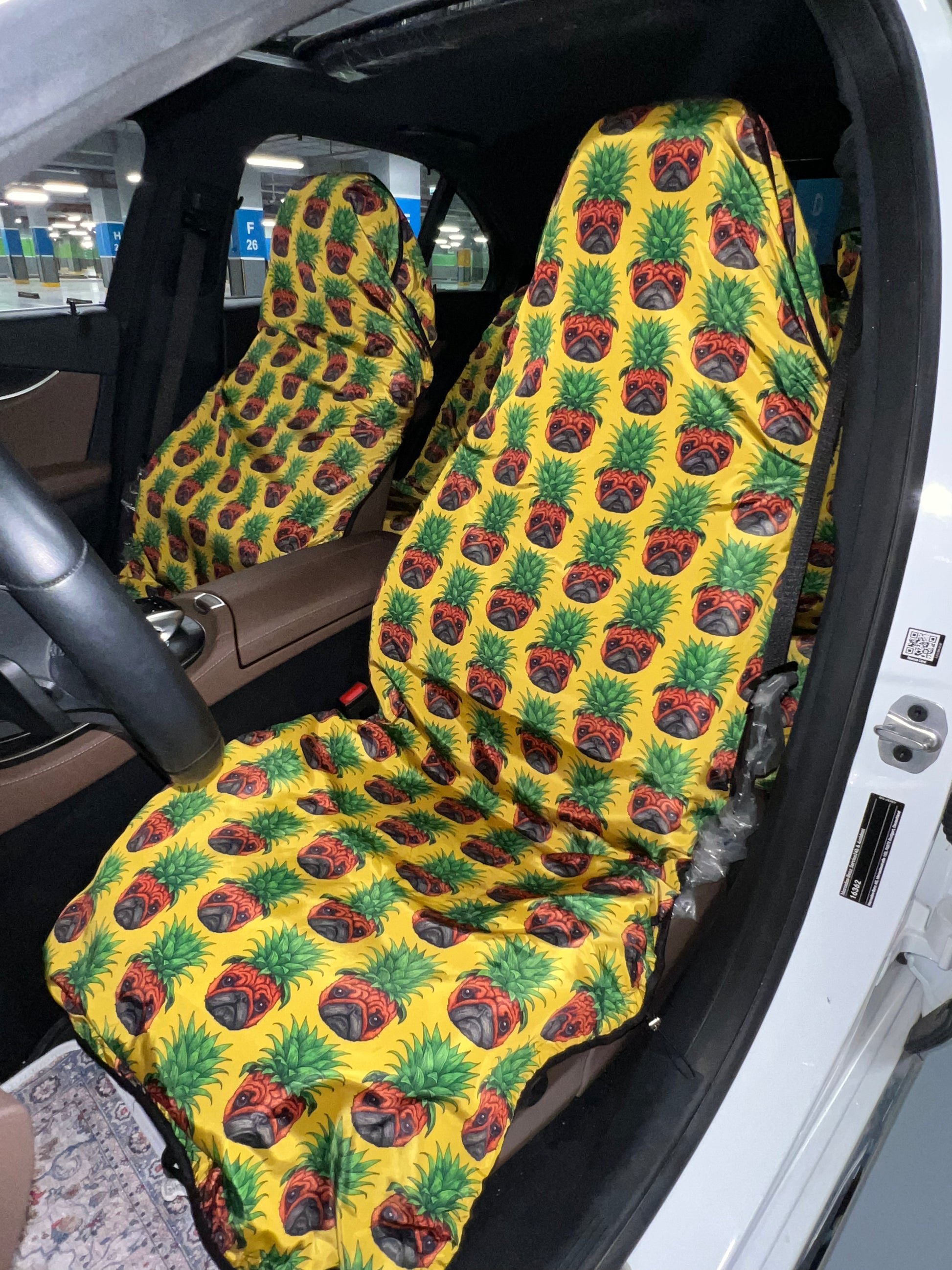 Pineapple pup set