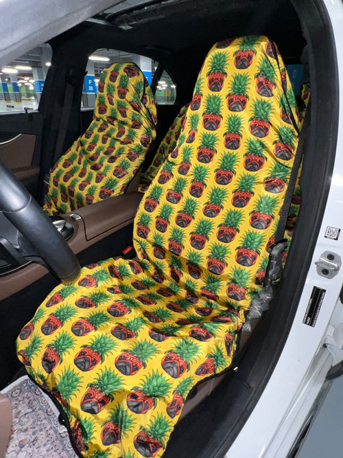 Pineapple pup set