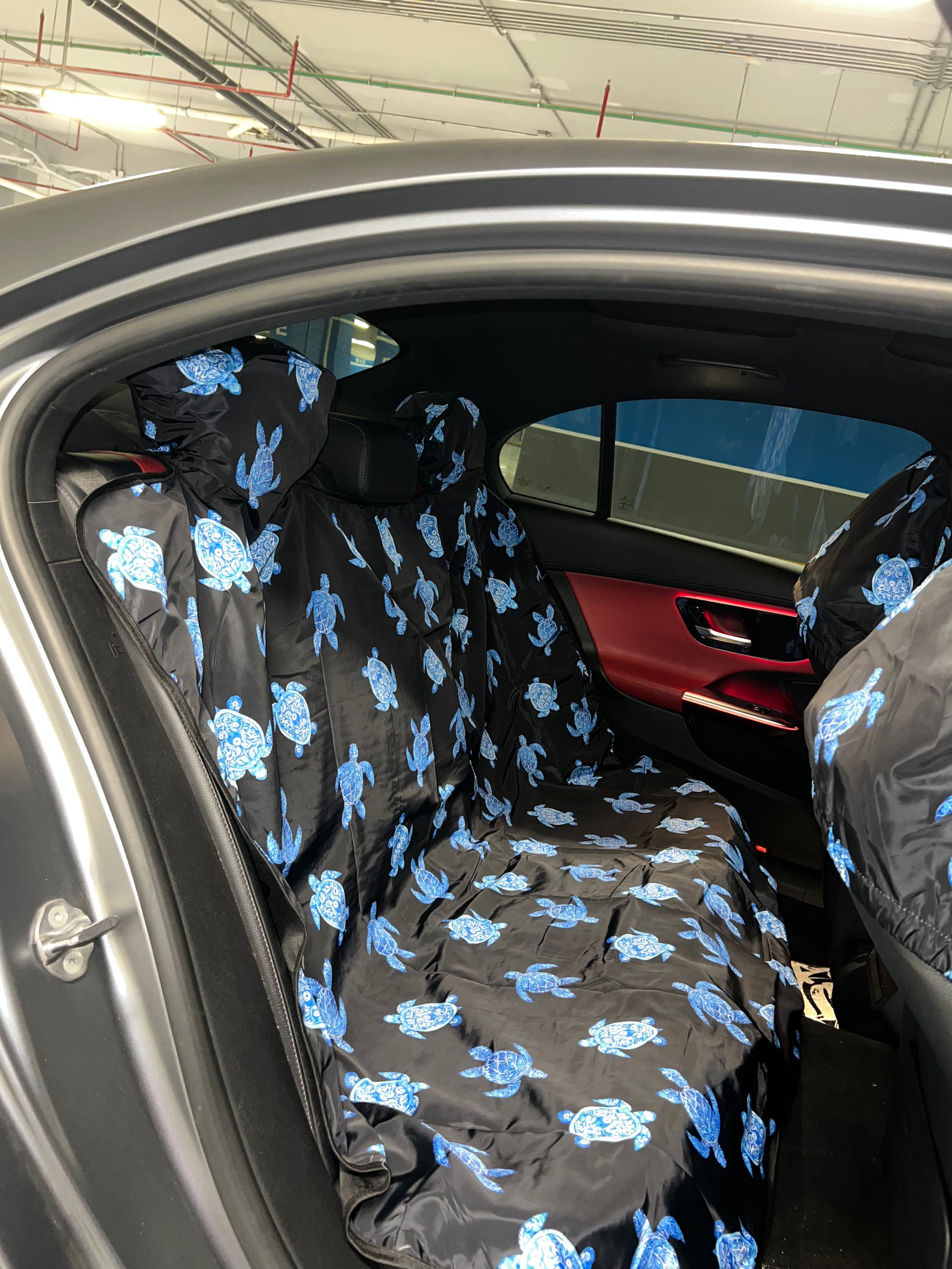 Azure Turtles