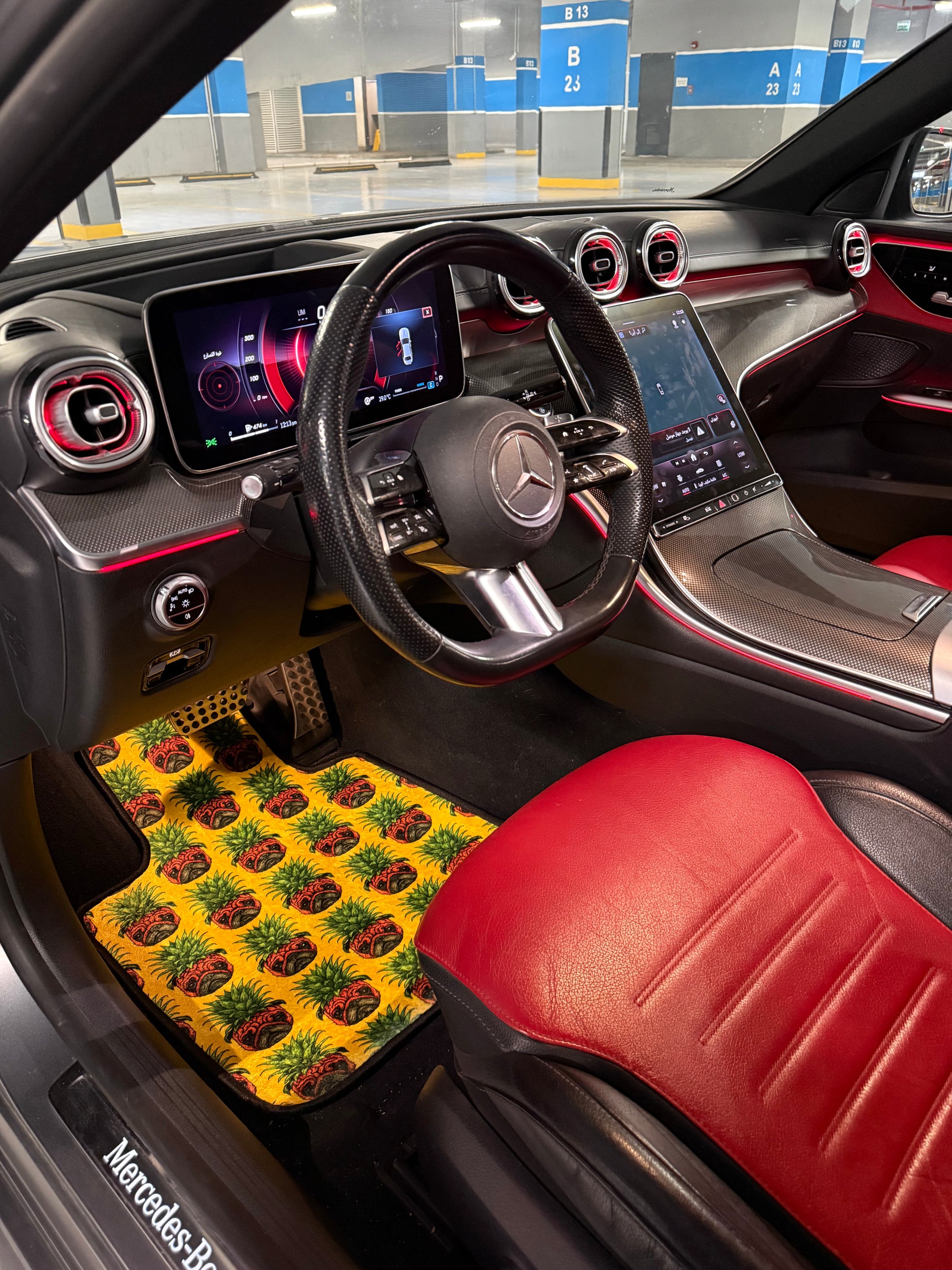 pineapple pup mats